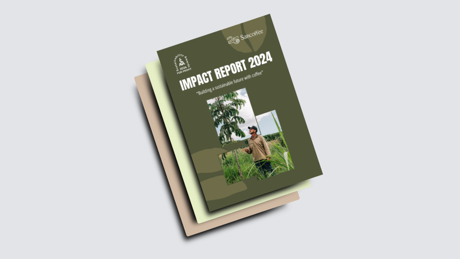 Impact-report